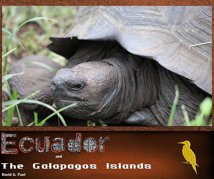 Ver Ecuador and the Galapagos Islands por David G. Paul