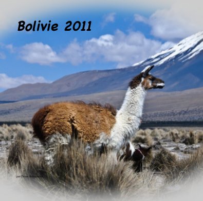 Bolivie 2011 book cover