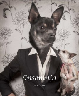 Insomnia Paula Gibson book cover