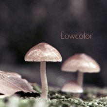 Lowcolor SC book cover