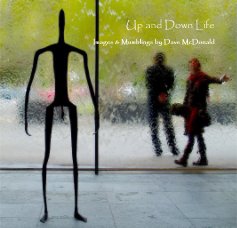 Up and Down Life book cover