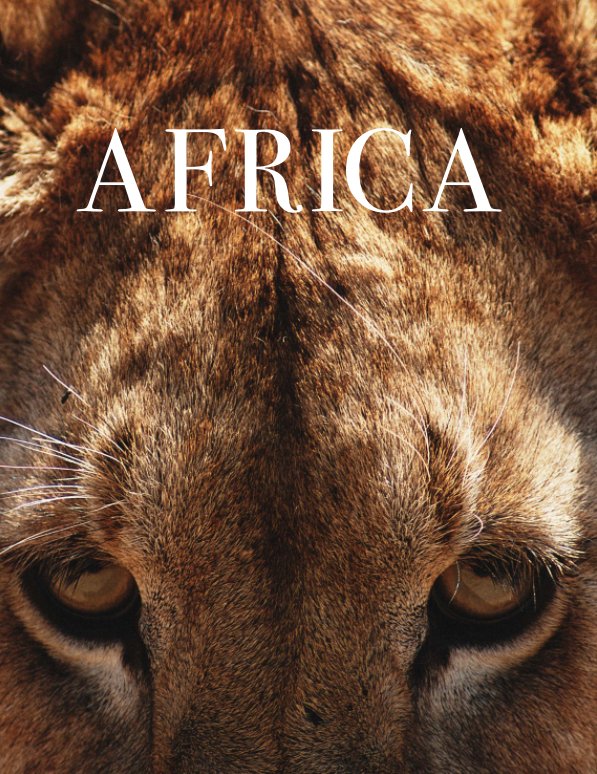 View Africa by Dan Carlberg