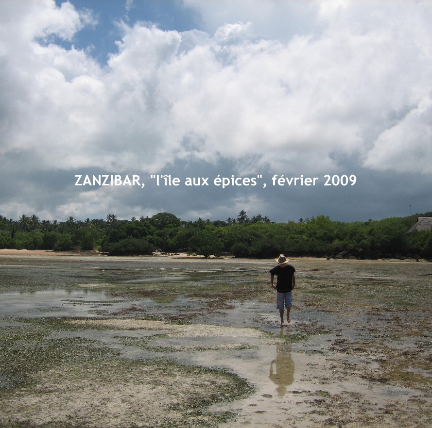 View ZANZIBAR, "l'île aux épices", février 2009 by arinae