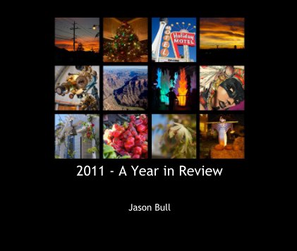 2011 - A Year in Review book cover