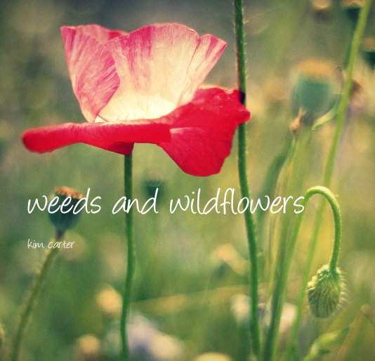 View weeds and wildflowers by kim carter