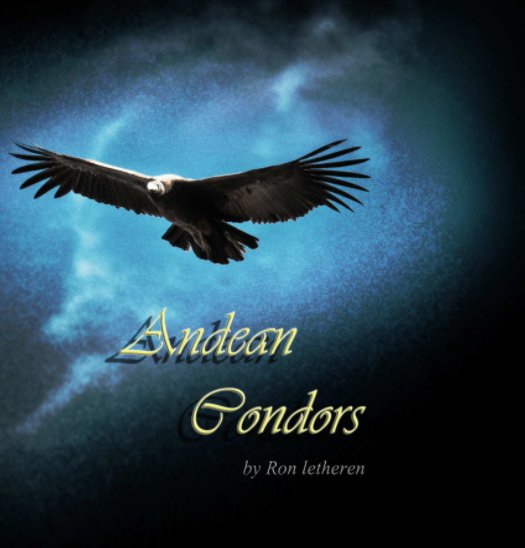 View Andean Condors by Ron Letheren