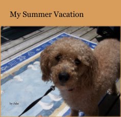 My Summer Vacation book cover
