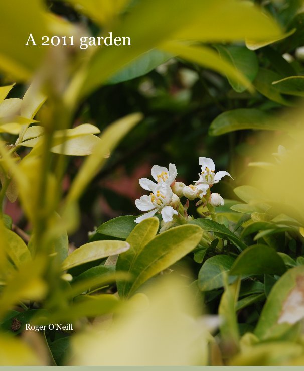 Ver A 2011 garden por Roger O'Neill
