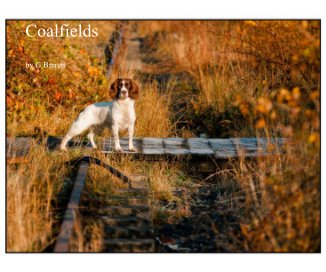 Coalfields book cover