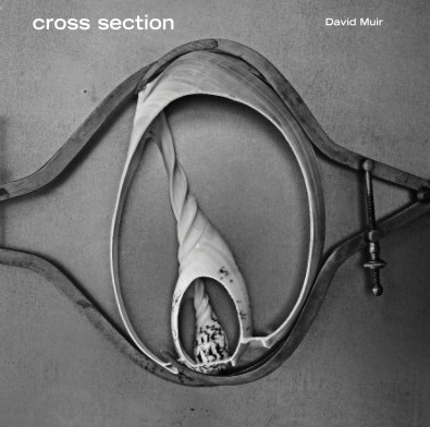 cross section David Muir book cover