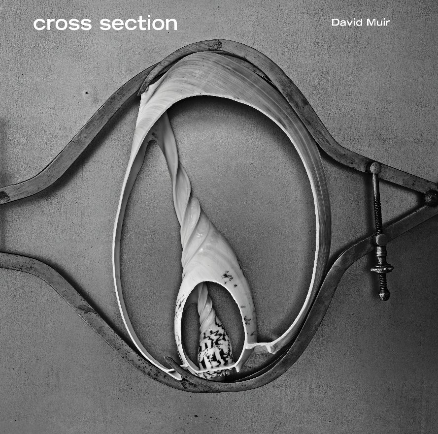Ver cross section David Muir por David Muir