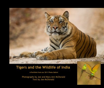 Tigers and the Wildlife of India A Portfolio from our 2011 Photo Safaris book cover