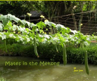 Mates in the Mekong book cover