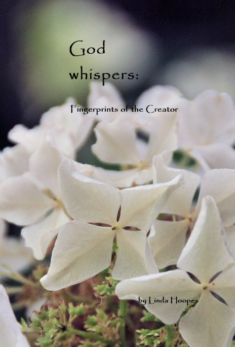 Ver God whispers: Fingerprints of the Creator por Linda Hoopes