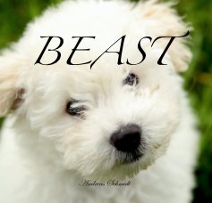 BEAST book cover