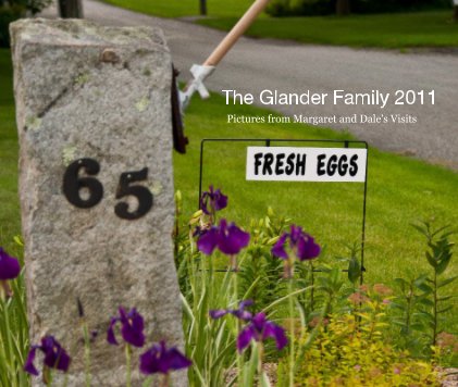 The Glander Family 2011 book cover