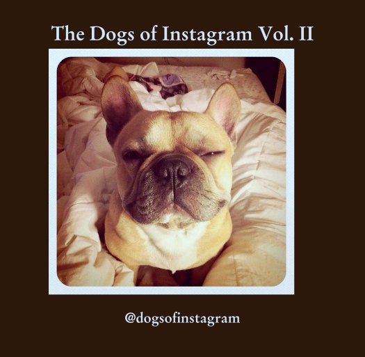 View The Dogs of Instagram Vol. II by @dogsofinstagram