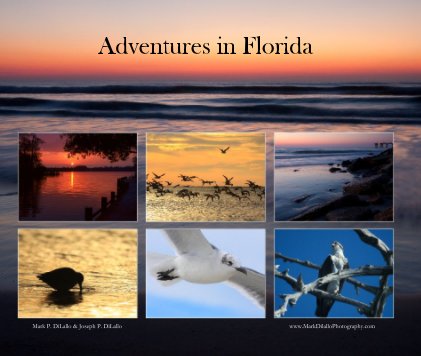Adventures in Florida book cover