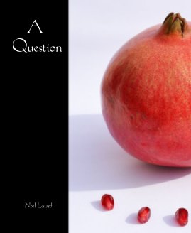 A Question book cover