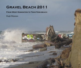 Gravel Beach 2011 book cover
