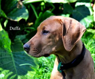 Duffa book cover