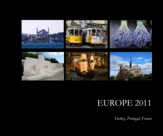 EUROPE 2011 book cover
