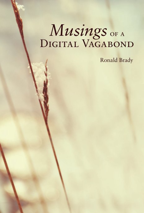 View Musings of a Digital Vagabond by Ronald Brady