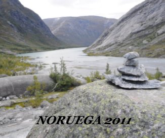 NORUEGA 2011 book cover