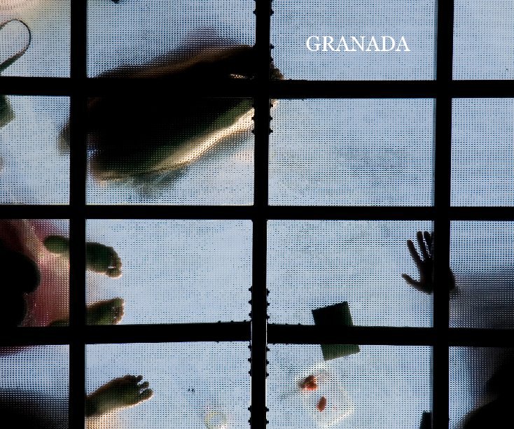 View Granada by Laurent Bechelli