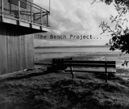 The Bench Project... book cover
