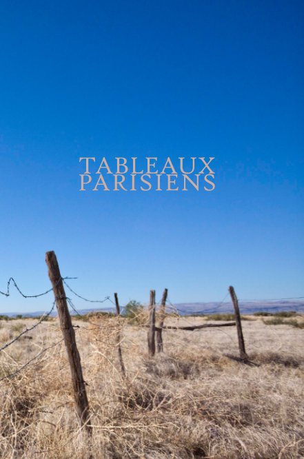 View Tableaux Parisiens by Nicholas Knight