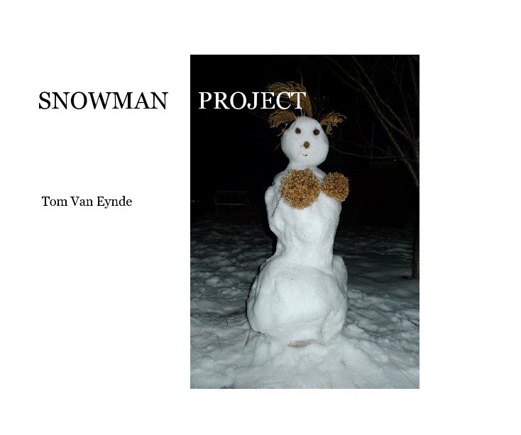 View SNOWMAN PROJECT Tom Van Eynde by Tom Van Eynde