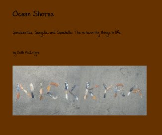 Ocean Shores book cover