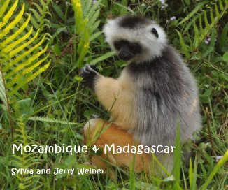 Mozambique & Madagascar book cover