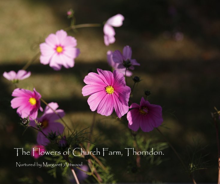 View The Flowers of Church Farm, Thorndon. by albertrobb