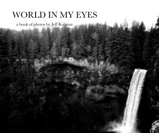 WORLD IN MY EYES book cover