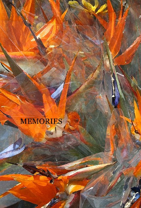 View MEMORIES by tumleh