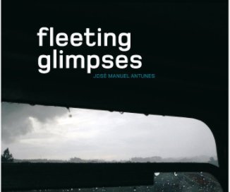 fleeting glimpses book cover