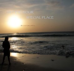 DEFEND YOUR SPECIAL PLACE book cover