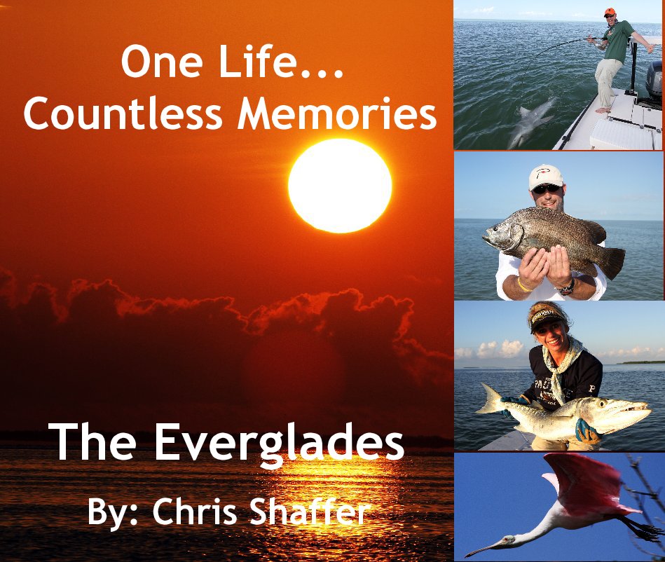 Visualizza One Life... Countless Memories di The Everglades