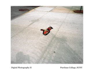 Digital Photography II Purchase College, SUNY book cover