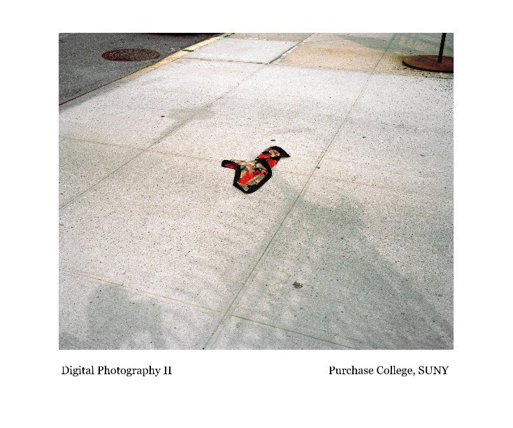 Ver Digital Photography II Purchase College, SUNY por johnlehr