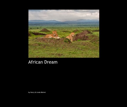 African Dream book cover
