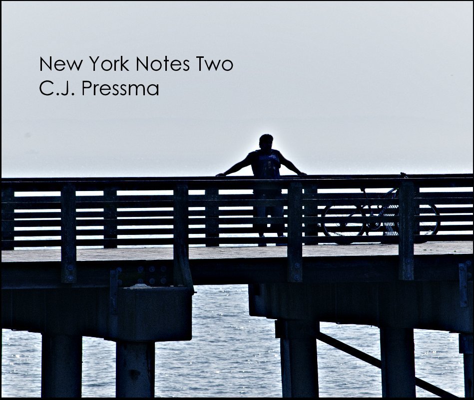 Visualizza New York Notes Two C.J. Pressma di C.J. Pressma