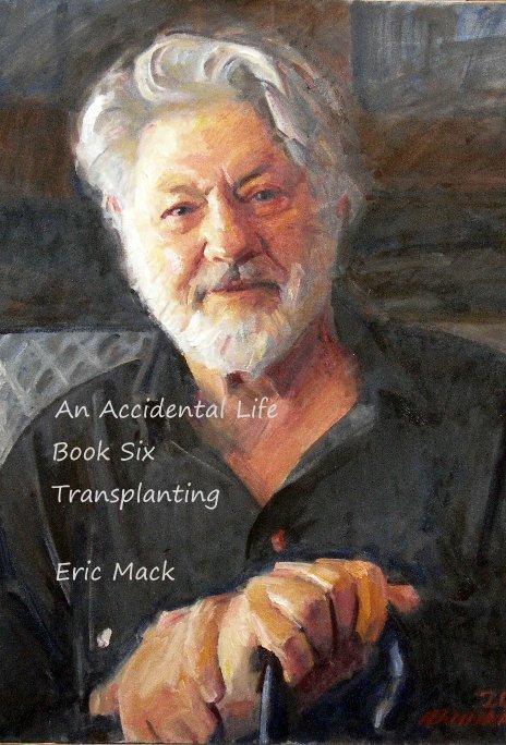 View An Accidental Life Book Six by Eric Mack
