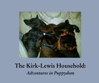 The Kirk-Lewis Household: book cover
