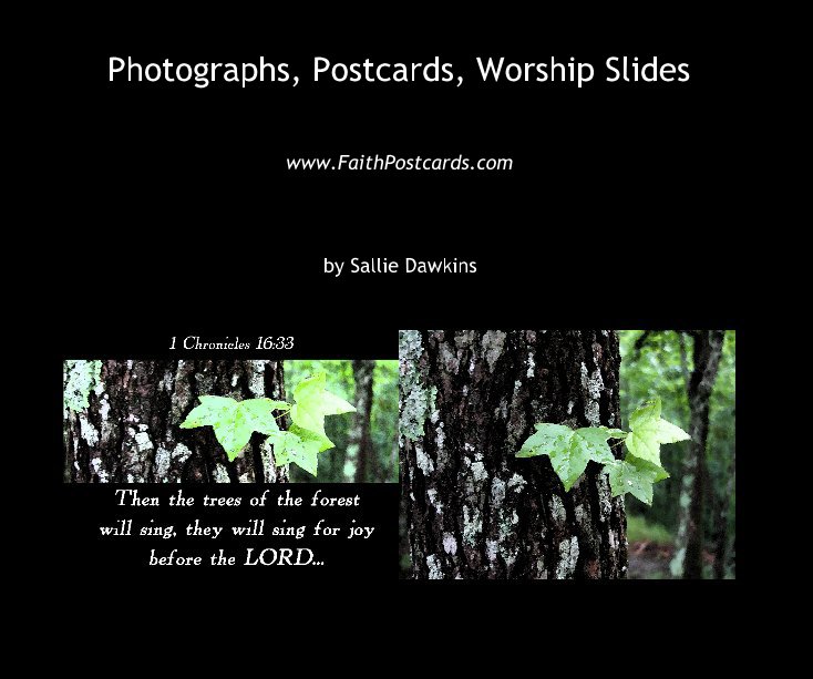 View Photographs, Postcards, Worship Slides by Sallie Dawkins