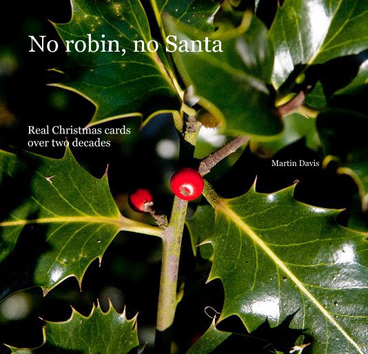 View No robin, no Santa by Martin Davis