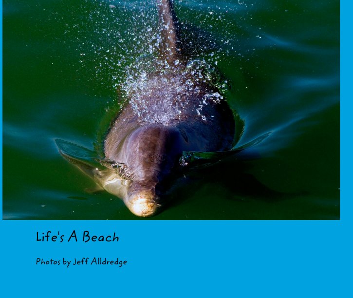 View Life's A Beach by Photos by Jeff Alldredge