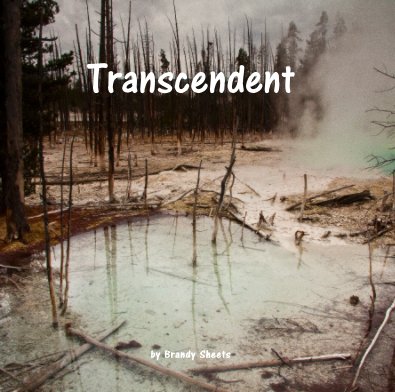 Transcendent book cover